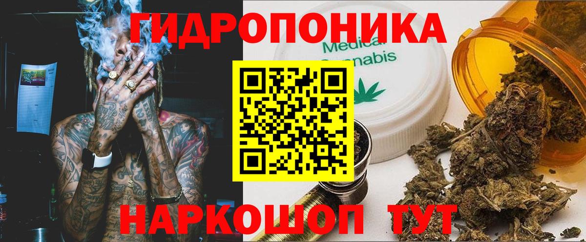 Бошки Шишки гибрид Сосновый Бор